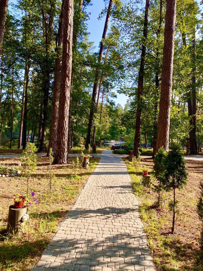 Resort Stariy Prud Pylypovychi المظهر الخارجي الصورة